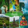 Mobile Lightroom Preset - Bali Jungle